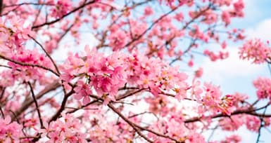 Winter is Officially Over. Spring is Here Time to Shed the Woollies and Be Your Beautiful and Youthful Self