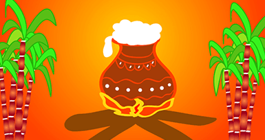 Pongal – The Harvest Festival