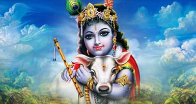 Why We Celebrate Krishna Jayanthi?