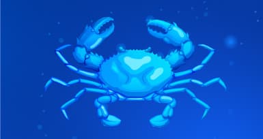Cancer: Characteristics and Personality