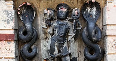 Summer Serpent Festivals Remove Snake Curses