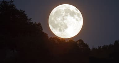 Steps to be Followed during Pournami Viratham (Full Moon Day Fasting)