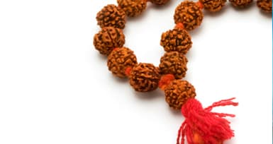 Significance of Different faced Rudraksham