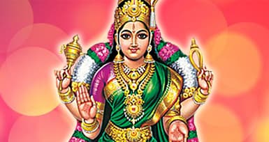 Why Is Vasant Navaratri Celebrated?