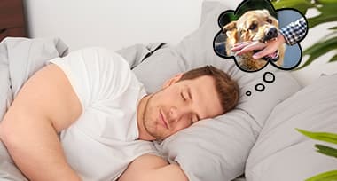 Meaning and Signification of Dog Bite in Dreams