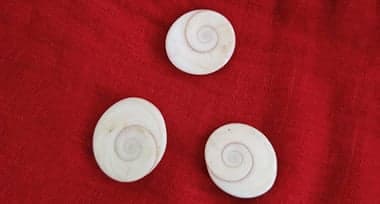 Gomti Chakra: A Wonderful Stone for Good Luck, Good Health And Prosperity & Transformation!