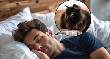 Seeing a Black Cat in a Dream