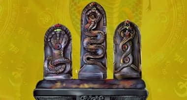 Vishdhar Kala Sarpa Dosha: Effects and Remedies