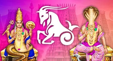 Rahu Ketu Transit 2025 Predictions for Capricorn Moon Sign