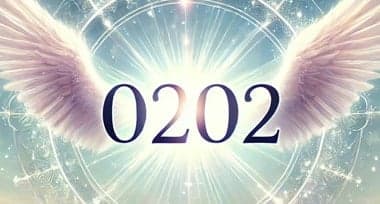 Angel Number 0202 Meaning: What It Means for Love, Career & Destiny