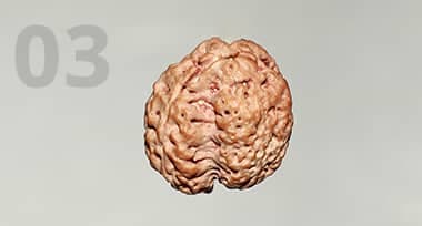 Significance and Benefits of 3 Mukhi Rudraksha