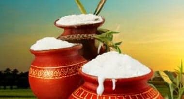 Pongal Festival 2026: Traditions, Significance & Rituals