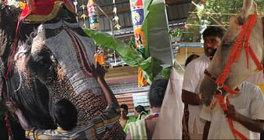 Royalty Rituals on Akshaya Tritiya For Ever-Increasing Wealth