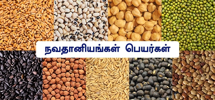 Navathaniyam names in Tamil