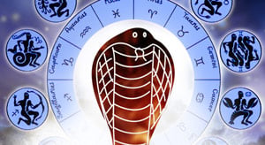 Naga Dosha