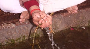 Pitru Dosha