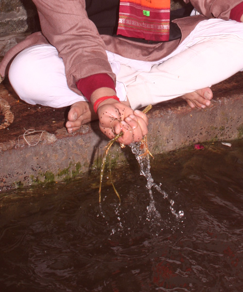 Pitru Dosha, Pitru Dosha Effects & Remedies, Free Pitru Dosha