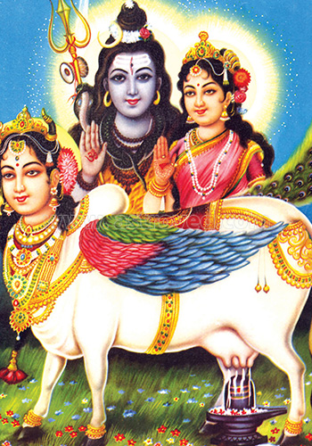 Goddess Kamadhenu 