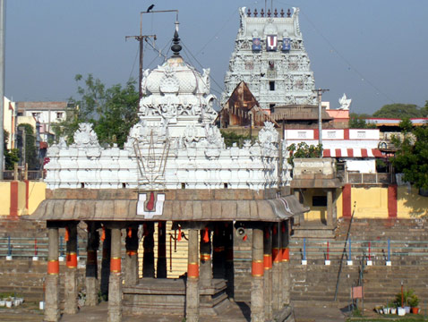 Parthasarathy Swami Temple