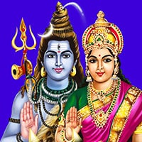 Shiva Shakti Homa (Divine Couple Shiva-Shakti Blessings Fire Lab)