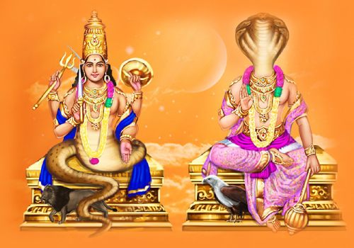
Grahan Dosha