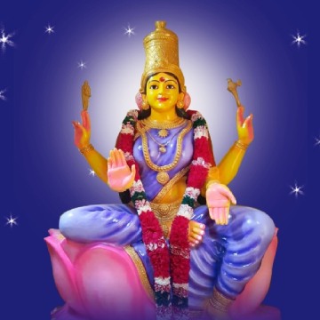 48 दिवसीय देवी व्यास द्रौपदी कार्यक्रम डॉ। पिल्लई मंदिर में।