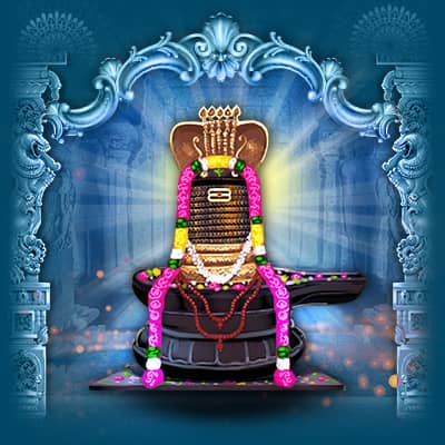 Swarna Akarshana Sahasra Shiva Lingam Installation