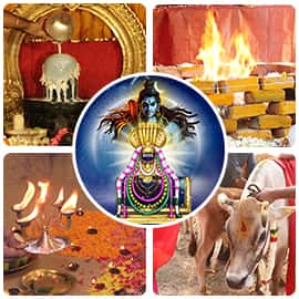 Swarna Akarshana Sahasra Shiva Lingam Installation Advanced Plus Package