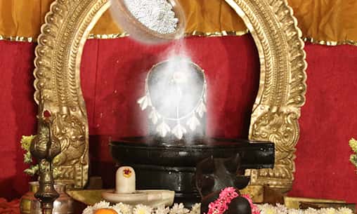 Vibuthi Abishekam