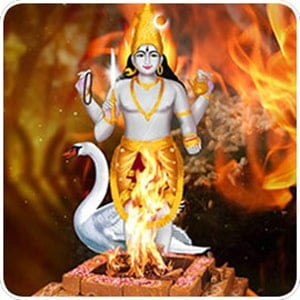 8-Priest Individual Ashta Bhairava Homa*