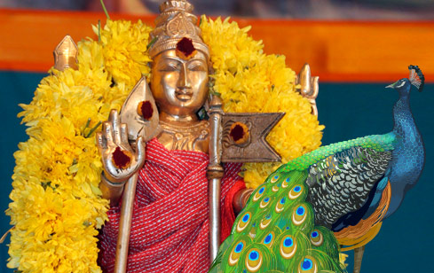 Mayura Homa