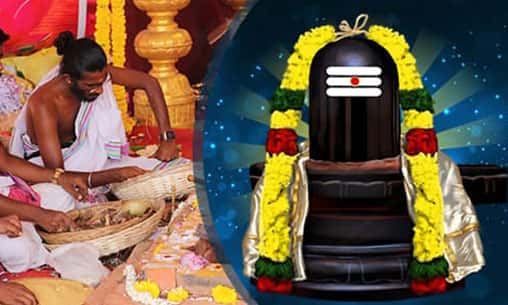 Lingashtakam Chanting with 4-Priest Linga Ashtothara Shatanamavali Homa