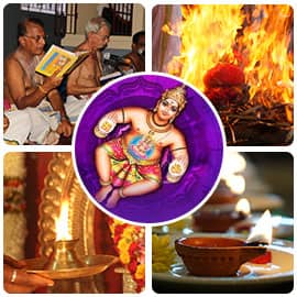 Purify Your Living Space Package-  Group Participation