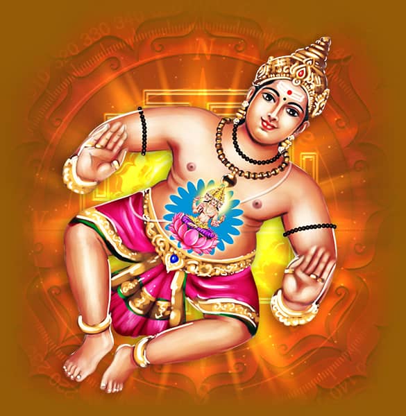 Purify Your Living Space Program