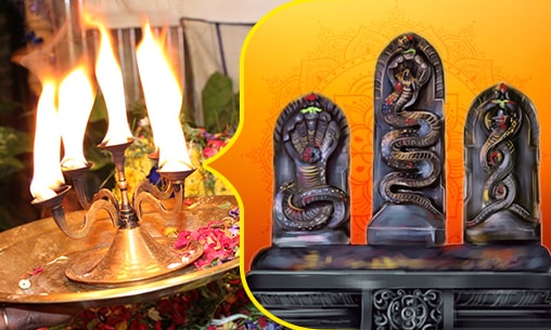 Dhanvantari Mantra Archana (Pooja to Vishnu as the Divine Healer) at Kerala Powerspot