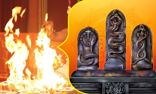 Kamaladharini Beejakshara Maha Mantra Homa