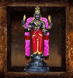 Temple Services to Mars