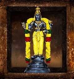 Temple Services to Jupiter