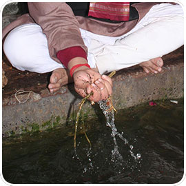 1-Year Tarpanam Program