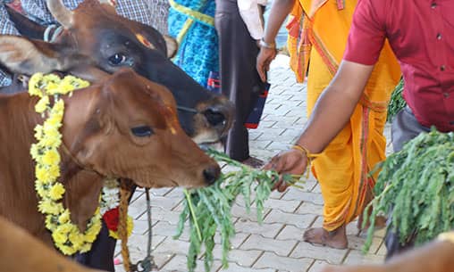 Archana (Pooja) to Narasimha at Thiruvidaimarudur Powerspot
