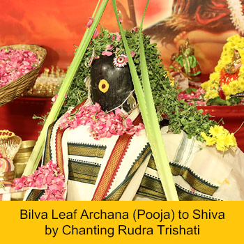 Essential Rituals for Surya Pradosham