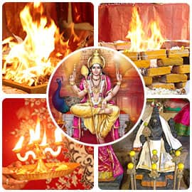 Ultimate Karma Removal Program 12-Month Package