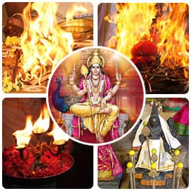 Ultimate Karma Removal Program 6-Month Package