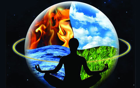 6-Priest Nava Narasimha Homa