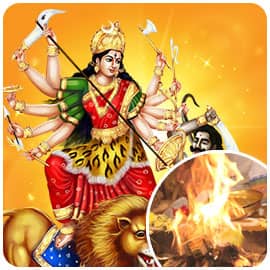 Individual Nava Chandi Homa*