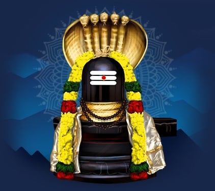 Nava Narasimha Services