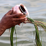 Symptoms And Remedies Of Pitra Dosha