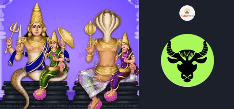 vrishabha-rashi-rahu-ketu-gochar-2020-to-2022-hindi