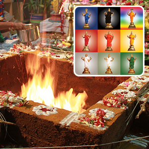 365-दिवसीय कार्यक्रम