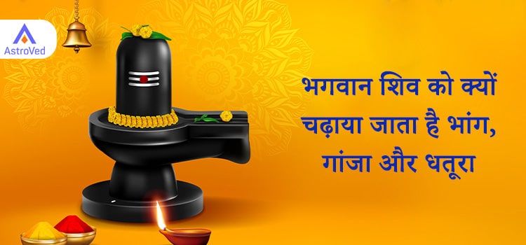 cannabis and dhatura offered to Lord Shiva